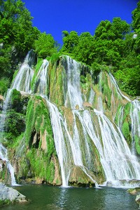 Glandieu's Waterfall (35 minutes away) 