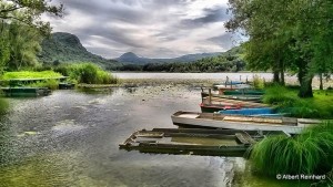 Le Lac de Barterand (à 25 min) baignade, pêche