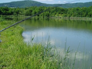 Le lac des Alliettes 