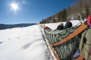 Les Plans d’Hotonnes (à 25 min) : ski alpin, ski nordique, stade international de biathlon, snowparc, raquettes, luges, airboard et now tubing, chiens de traineau, tir à l’arc, marche nordique, randonnée, rollers… 